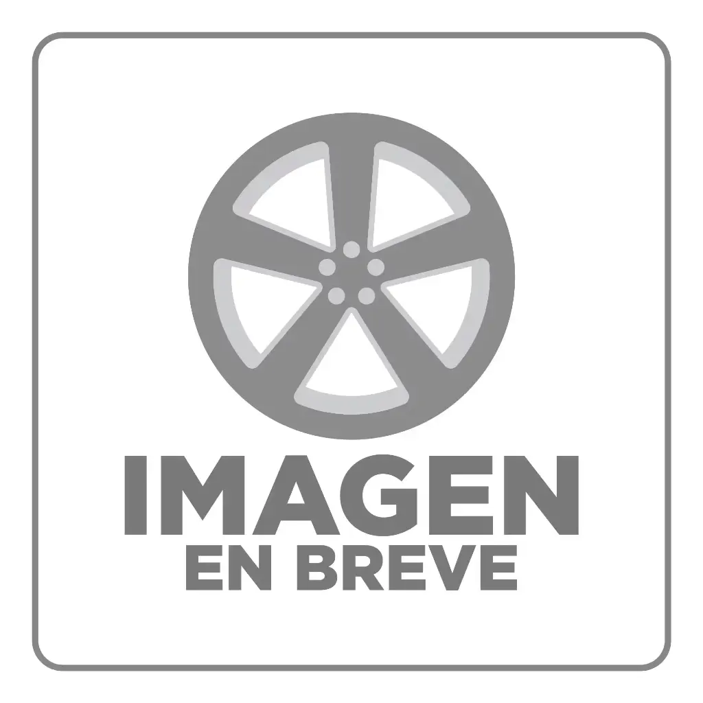 RIN 18X10 5-113 R1 SPORT 850 SILVER MACHINE FACE ET15 CB73.1